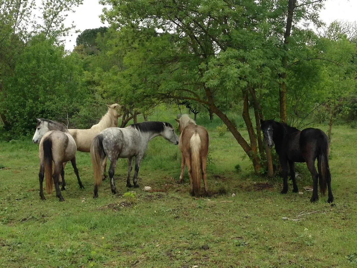 Azienda Agricola Traina Villa Prizzi İtalya